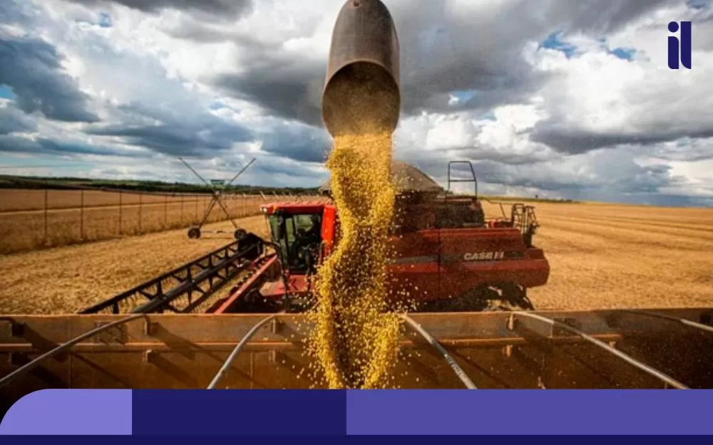 Safra de grãos de Mato Grosso deve crescer 45% em 7 anos e demanda mais logística
